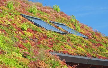 Dunsden Green living roof systems